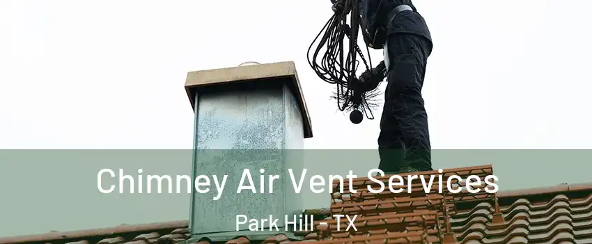 Chimney Air Vent Services Park Hill - TX