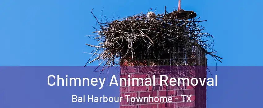 Chimney Animal Removal Bal Harbour Townhome - TX