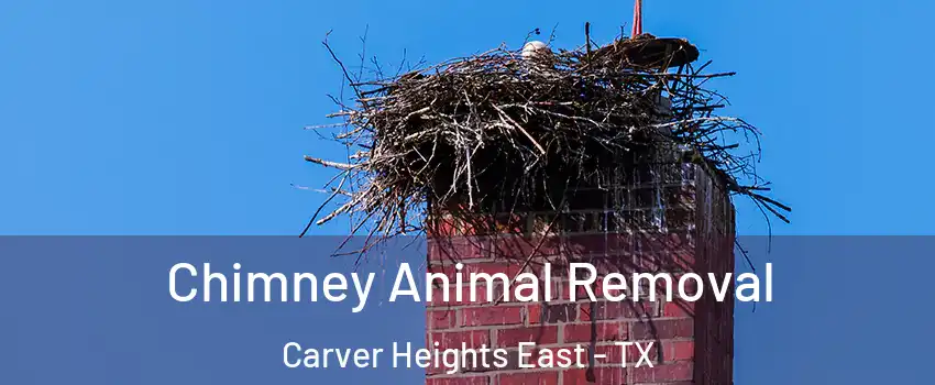 Chimney Animal Removal Carver Heights East - TX