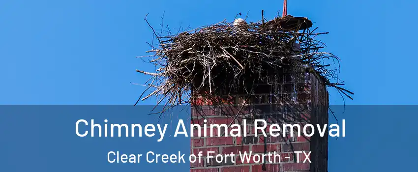 Chimney Animal Removal Clear Creek of Fort Worth - TX