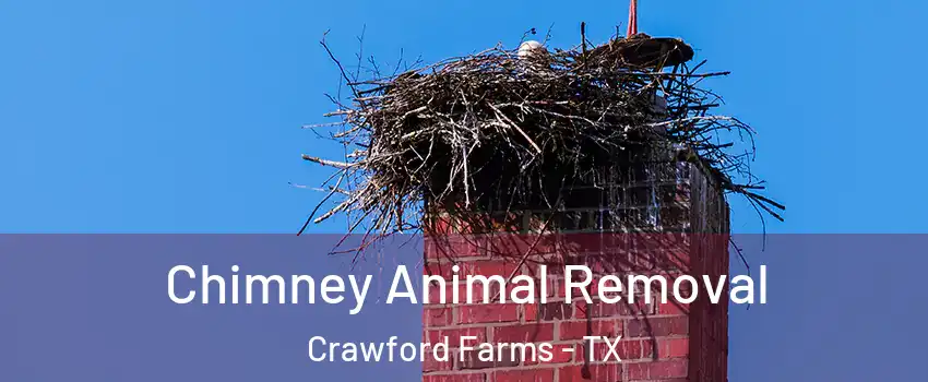 Chimney Animal Removal Crawford Farms - TX