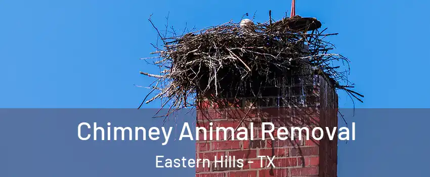 Chimney Animal Removal Eastern Hills - TX