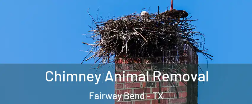 Chimney Animal Removal Fairway Bend - TX