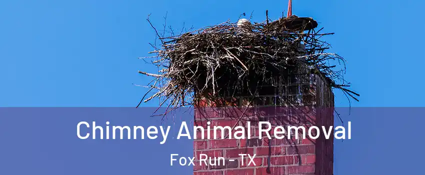 Chimney Animal Removal Fox Run - TX