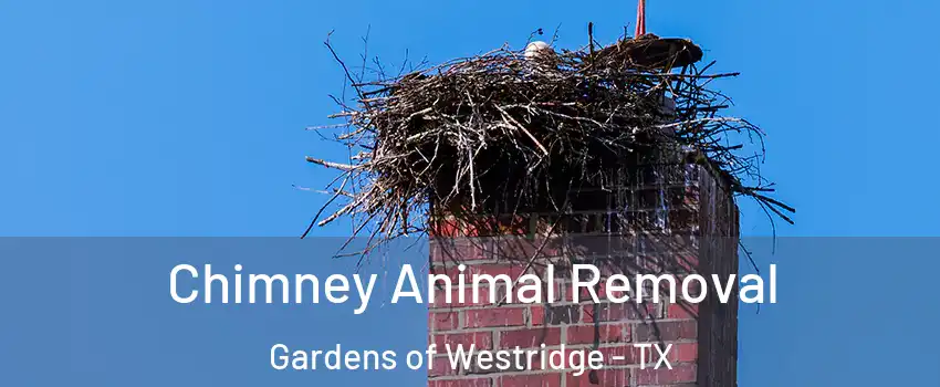 Chimney Animal Removal Gardens of Westridge - TX