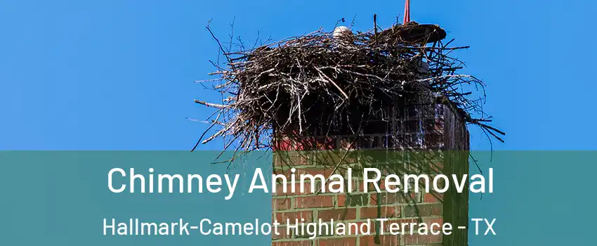 Chimney Animal Removal Hallmark-Camelot Highland Terrace - TX