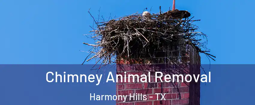 Chimney Animal Removal Harmony Hills - TX