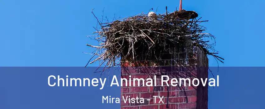 Chimney Animal Removal Mira Vista - TX