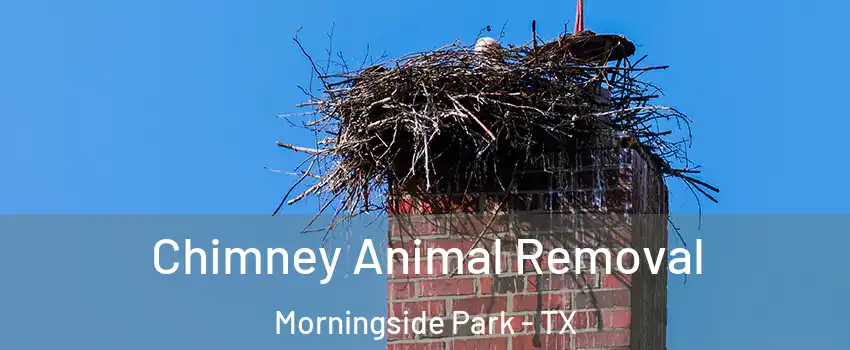 Chimney Animal Removal Morningside Park - TX