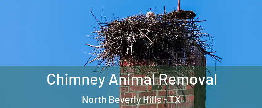 Chimney Animal Removal North Beverly Hills - TX