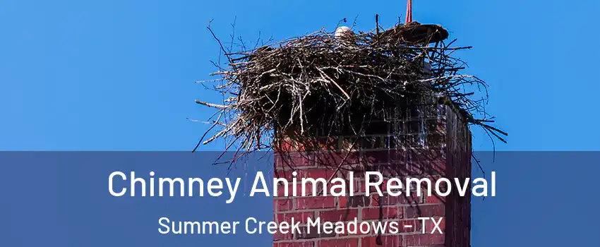 Chimney Animal Removal Summer Creek Meadows - TX