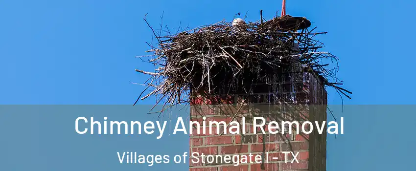 Chimney Animal Removal Villages of Stonegate I - TX