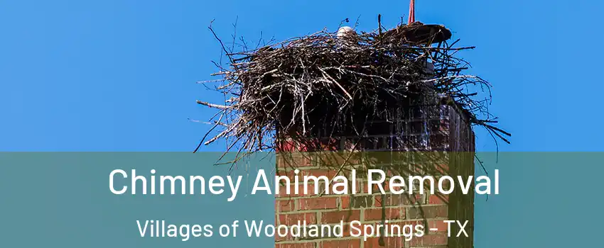 Chimney Animal Removal Villages of Woodland Springs - TX