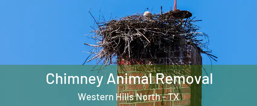 Chimney Animal Removal Western Hills North - TX