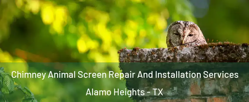 Chimney Animal Screen Repair And Installation Services Alamo Heights - TX