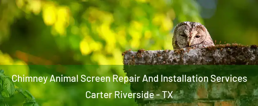 Chimney Animal Screen Repair And Installation Services Carter Riverside - TX