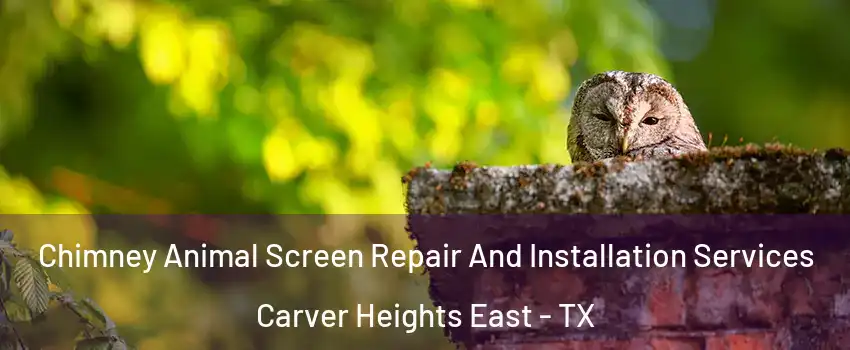 Chimney Animal Screen Repair And Installation Services Carver Heights East - TX