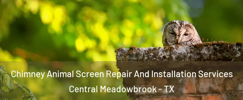 Chimney Animal Screen Repair And Installation Services Central Meadowbrook - TX