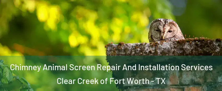 Chimney Animal Screen Repair And Installation Services Clear Creek of Fort Worth - TX