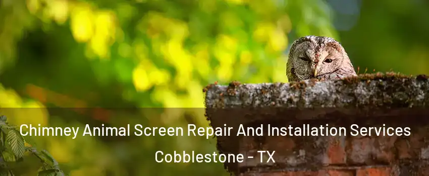 Chimney Animal Screen Repair And Installation Services Cobblestone - TX