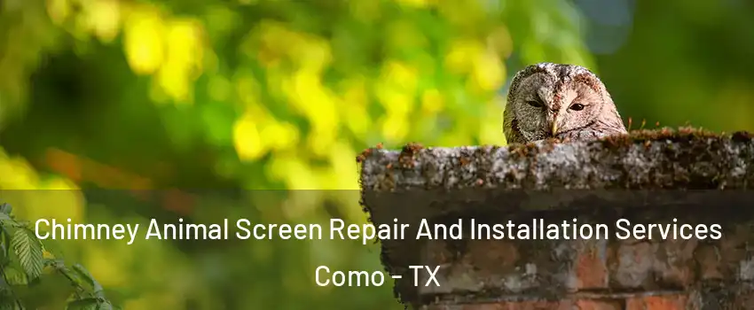 Chimney Animal Screen Repair And Installation Services Como - TX