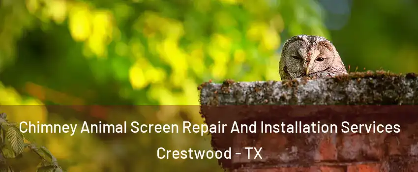 Chimney Animal Screen Repair And Installation Services Crestwood - TX