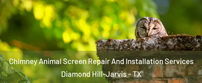 Chimney Animal Screen Repair And Installation Services Diamond Hill-Jarvis - TX