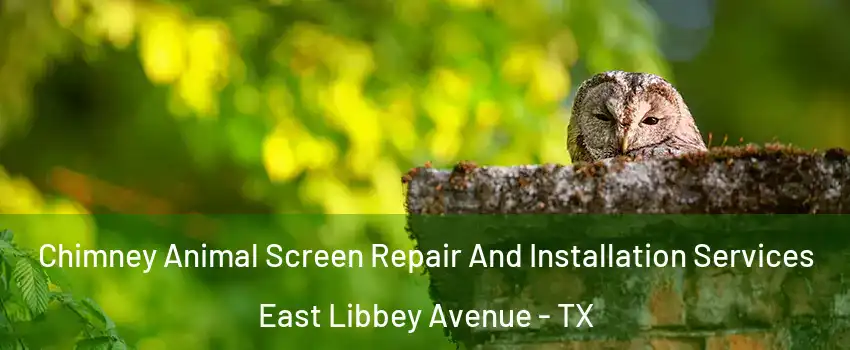 Chimney Animal Screen Repair And Installation Services East Libbey Avenue - TX