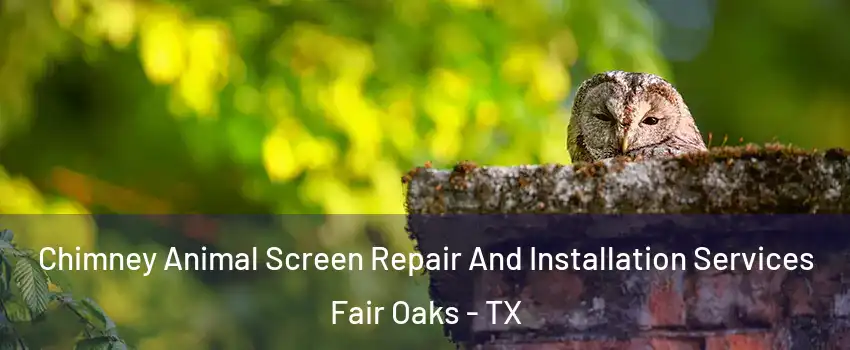 Chimney Animal Screen Repair And Installation Services Fair Oaks - TX