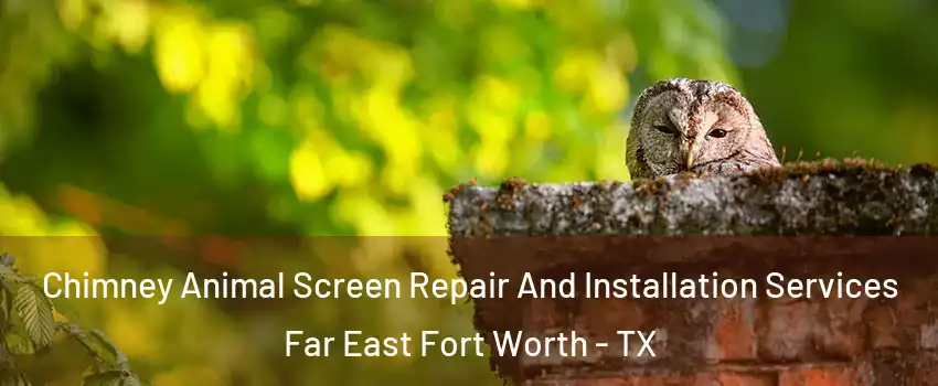 Chimney Animal Screen Repair And Installation Services Far East Fort Worth - TX