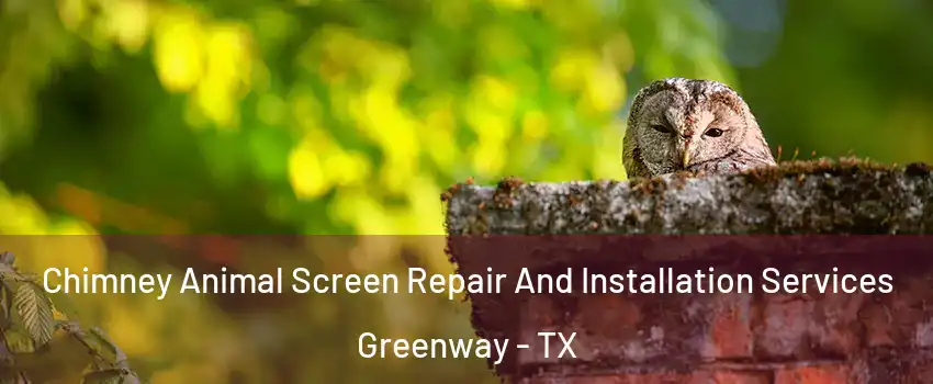 Chimney Animal Screen Repair And Installation Services Greenway - TX