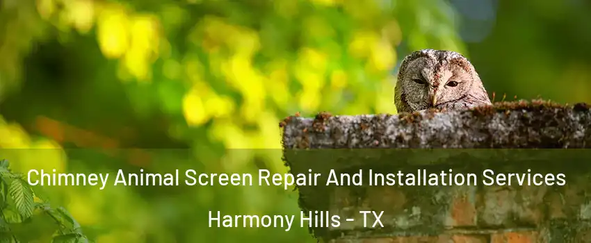 Chimney Animal Screen Repair And Installation Services Harmony Hills - TX