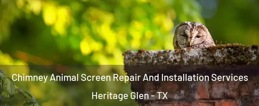 Chimney Animal Screen Repair And Installation Services Heritage Glen - TX