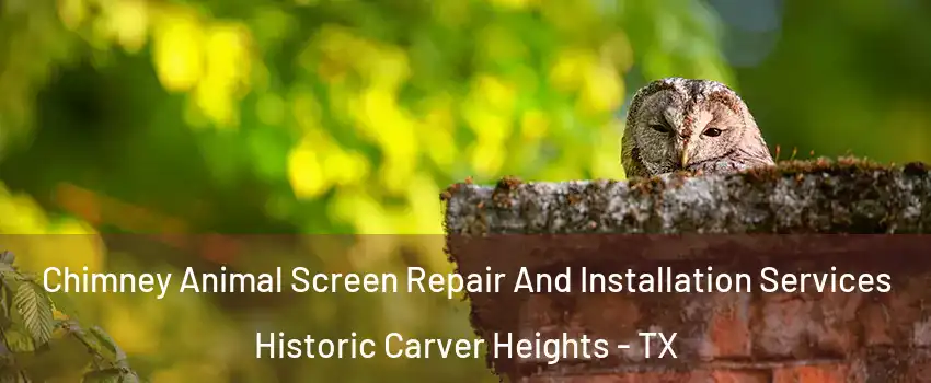 Chimney Animal Screen Repair And Installation Services Historic Carver Heights - TX