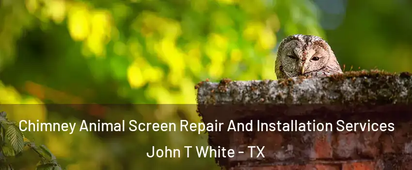 Chimney Animal Screen Repair And Installation Services John T White - TX