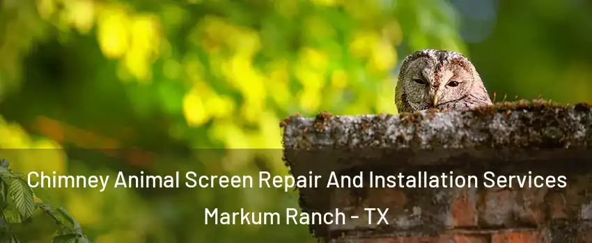 Chimney Animal Screen Repair And Installation Services Markum Ranch - TX