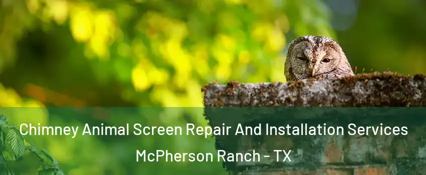 Chimney Animal Screen Repair And Installation Services McPherson Ranch - TX