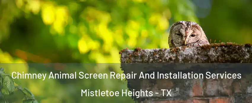 Chimney Animal Screen Repair And Installation Services Mistletoe Heights - TX