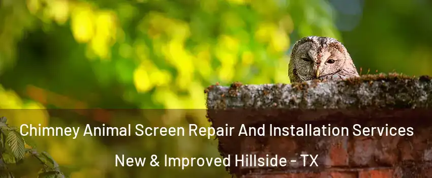 Chimney Animal Screen Repair And Installation Services New & Improved Hillside - TX