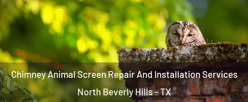 Chimney Animal Screen Repair And Installation Services North Beverly Hills - TX