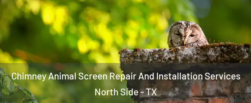 Chimney Animal Screen Repair And Installation Services North Side - TX