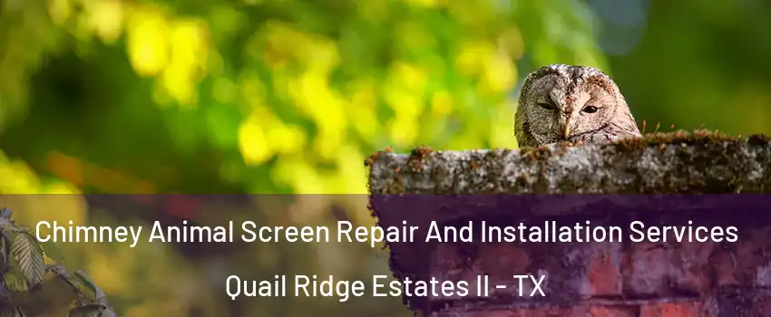 Chimney Animal Screen Repair And Installation Services Quail Ridge Estates II - TX