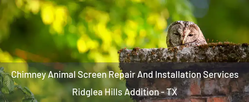 Chimney Animal Screen Repair And Installation Services Ridglea Hills Addition - TX