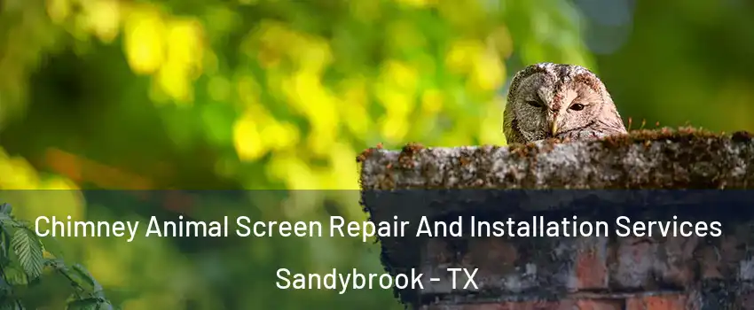 Chimney Animal Screen Repair And Installation Services Sandybrook - TX