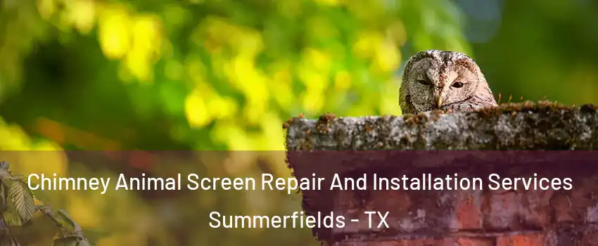 Chimney Animal Screen Repair And Installation Services Summerfields - TX