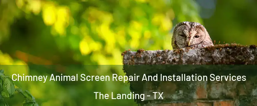 Chimney Animal Screen Repair And Installation Services The Landing - TX