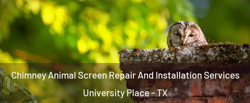 Chimney Animal Screen Repair And Installation Services University Place - TX