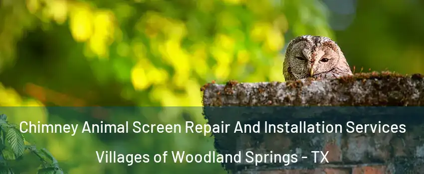 Chimney Animal Screen Repair And Installation Services Villages of Woodland Springs - TX