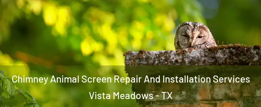 Chimney Animal Screen Repair And Installation Services Vista Meadows - TX