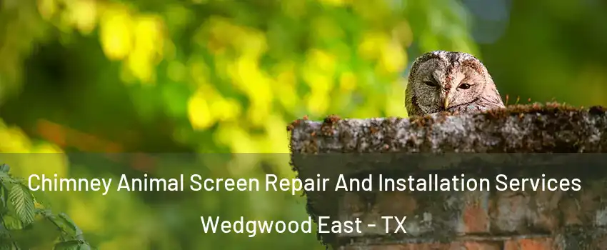 Chimney Animal Screen Repair And Installation Services Wedgwood East - TX